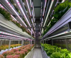 full spectrum led grow light